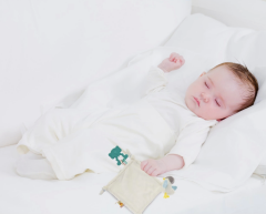 BabyJem Diş Kaşıyıcılı Uykucu Birdy 858 Mavi