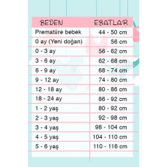 3-12 Ay FİSTO ETEKLİ BADİ Somon